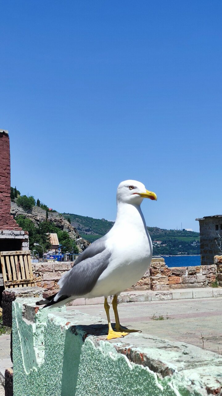 Гостиница Сальвадор Партенит-152