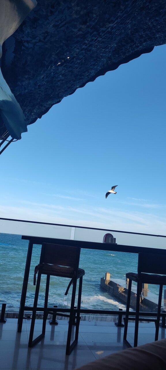 Гостиница Сальвадор Партенит-195