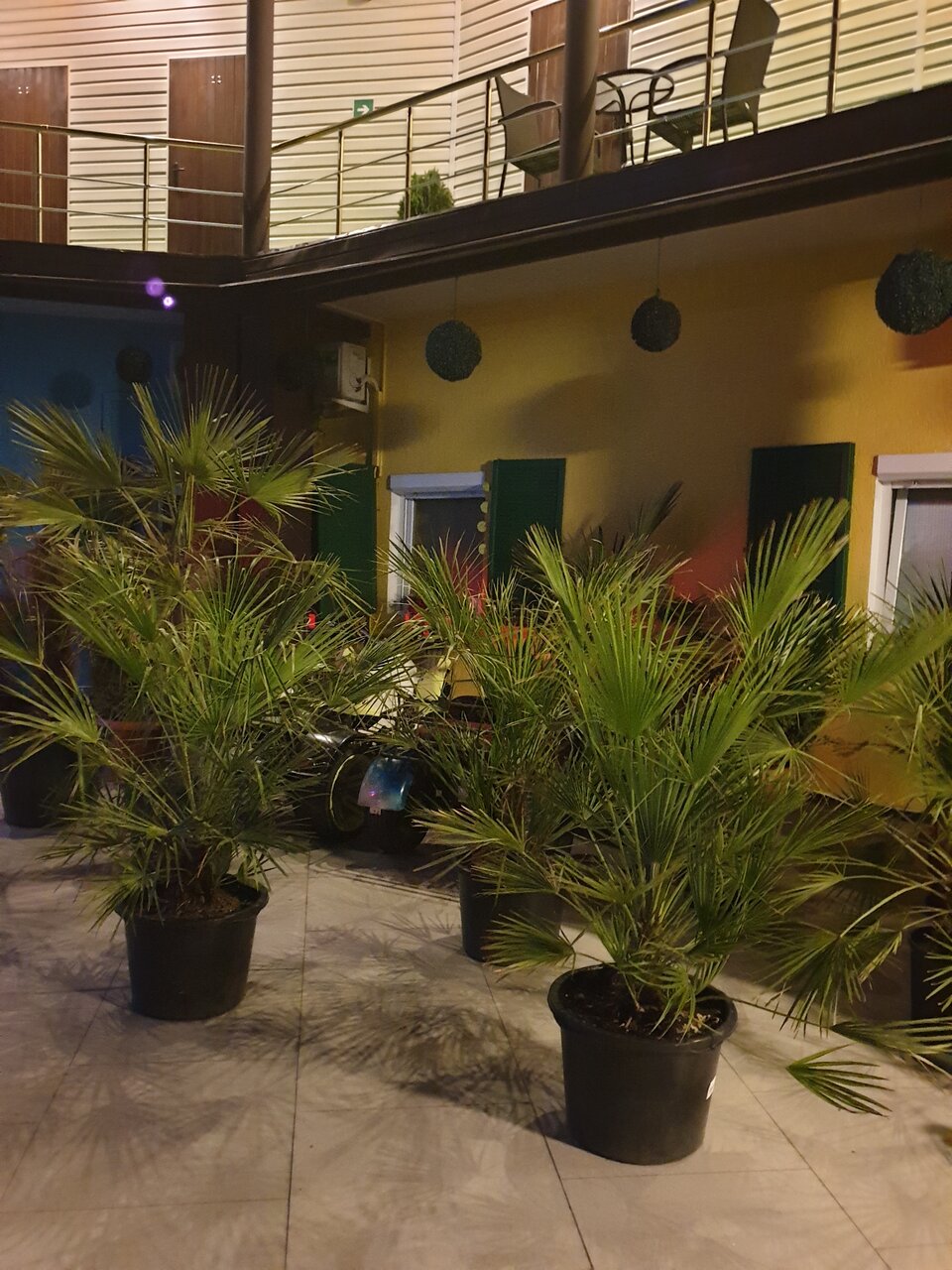 Гостиница Сальвадор Партенит-38