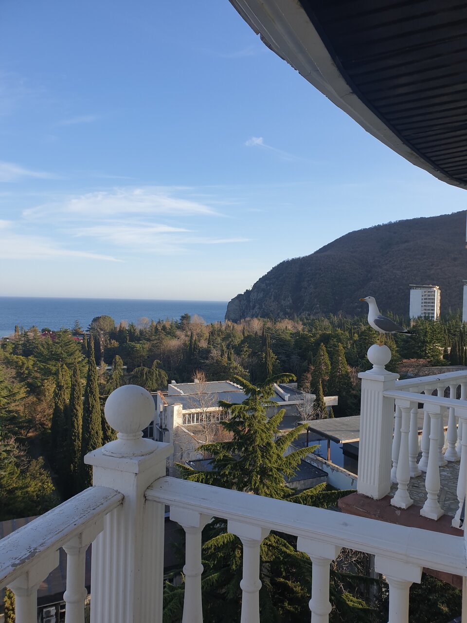 Гостиница Сальвадор Партенит-50