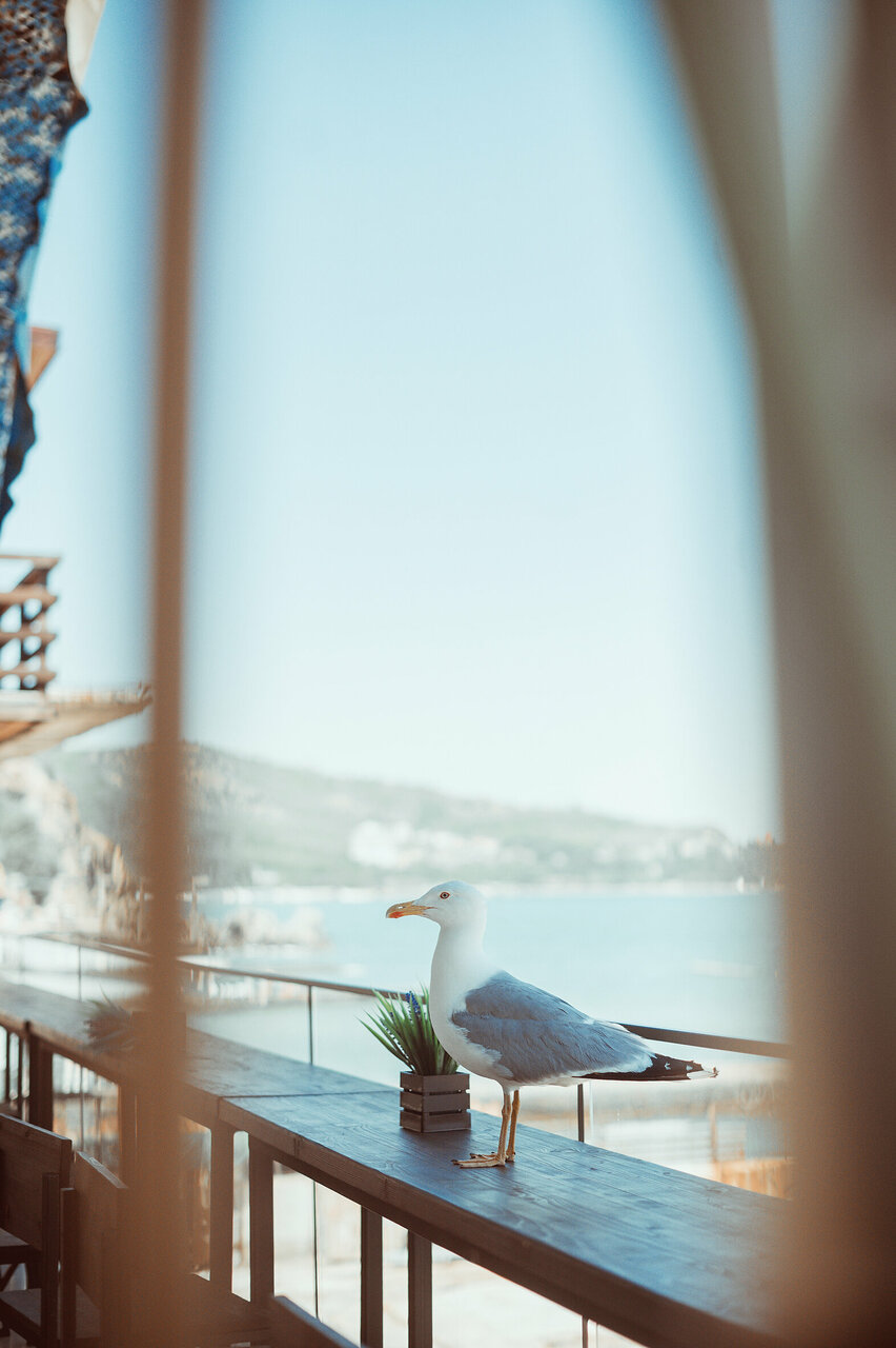 Гостиница Сальвадор Партенит-226