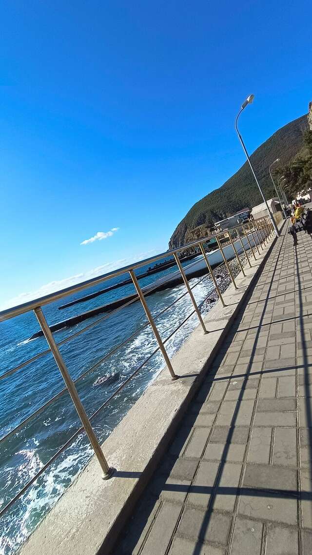 Гостиница Сальвадор Партенит-165