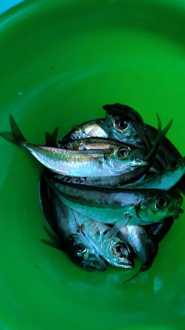 Гостиница Сальвадор Партенит-236