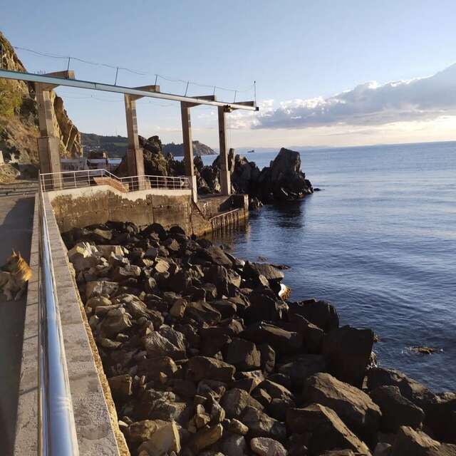 Гостиница Сальвадор Партенит-175