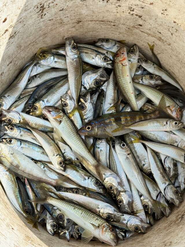 Гостиница Сальвадор Партенит-19