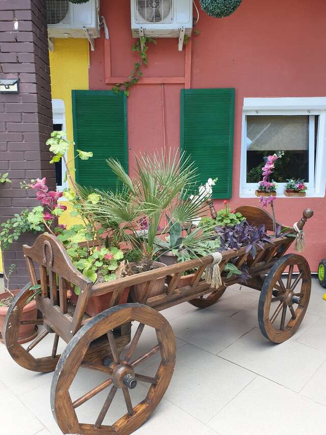 Гостиница Сальвадор Партенит-12