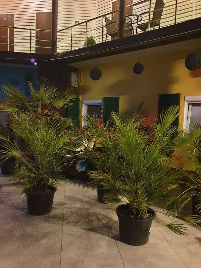 Гостиница Сальвадор Партенит-37