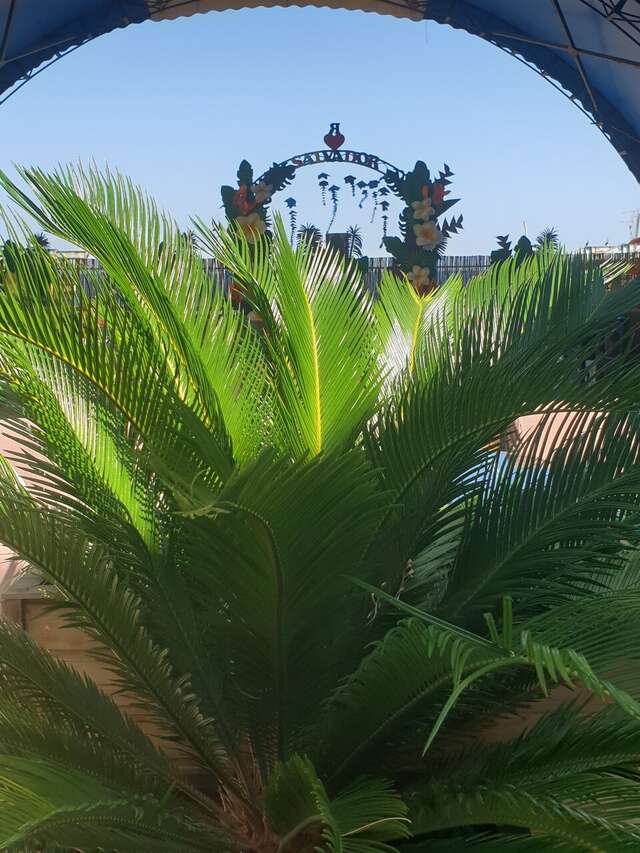 Гостиница Сальвадор Партенит-6