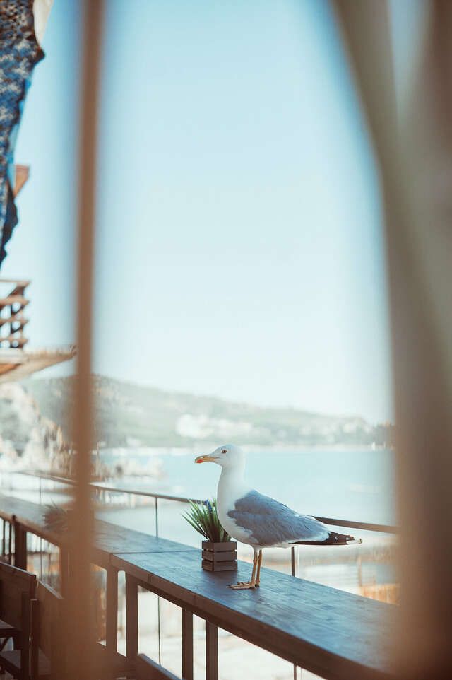 Гостиница Сальвадор Партенит-225